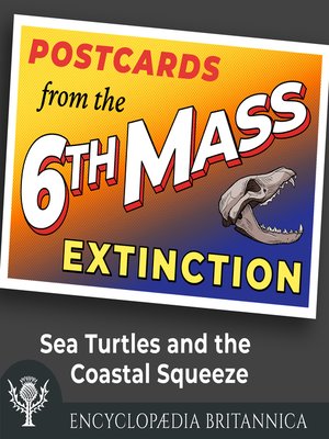 cover image of Sea Turtles and the Coastal Squeeze